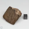 Al Haggounia 001 EL-melt Meteorite 79.7g Windowed Stone