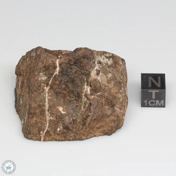 Al Haggounia 001 EL-melt Meteorite 79.7g Windowed Stone