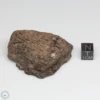 Al Haggounia 001 EL-melt Meteorite 83.0g Windowed Stone