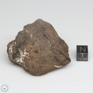 Al Haggounia 001 EL-melt Meteorite 83.0g Windowed Stone