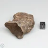 Al Haggounia 001 EL-melt Meteorite 101.9g Windowed Stone