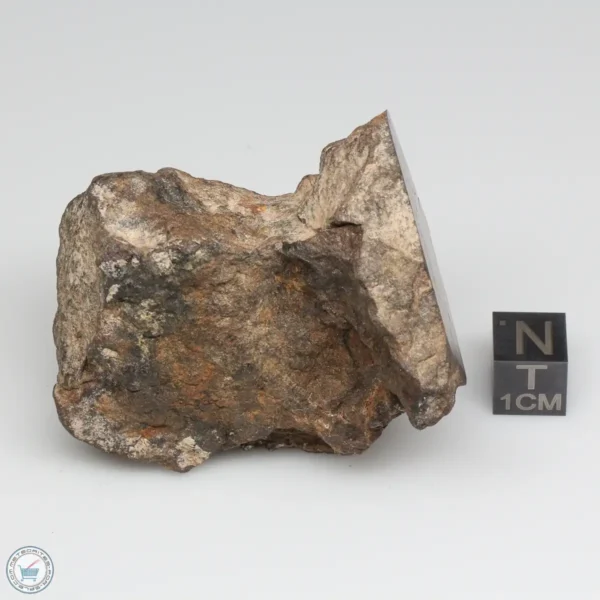 Al Haggounia 001 EL-melt Meteorite 101.9g Windowed Stone