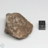 Al Haggounia 001 EL-melt Meteorite 65.5g Windowed Stone