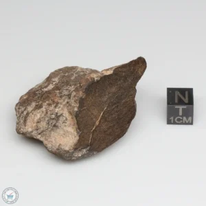 Al Haggounia 001 EL-melt Meteorite 65.5g Windowed Stone