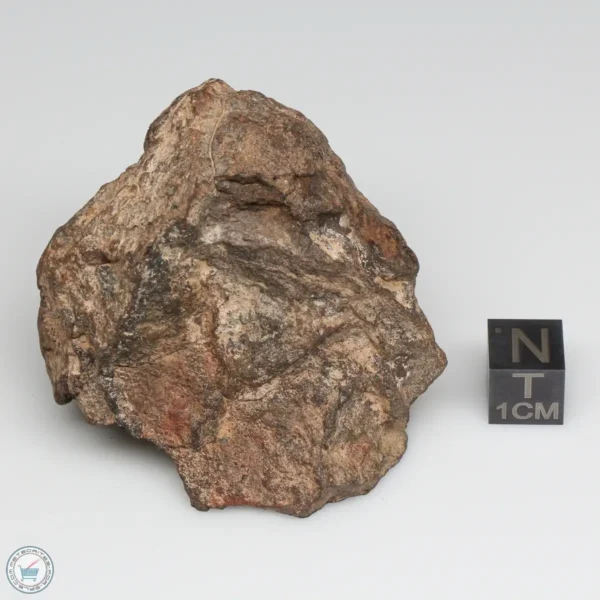 Al Haggounia 001 EL-melt Meteorite 136.5g Windowed Stone