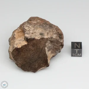 Al Haggounia 001 EL-melt Meteorite 136.5g Windowed Stone