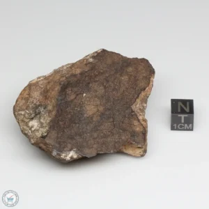 Al Haggounia 001 EL-melt Meteorite 105.1g Windowed Stone