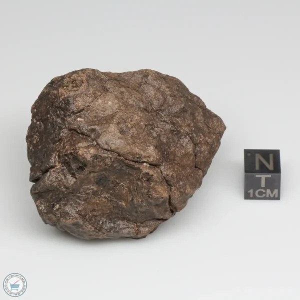 Al Haggounia 001 EL-melt Meteorite 147.8g Windowed Stone