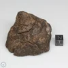 Al Haggounia 001 EL-melt Meteorite 171.4g Windowed Stone