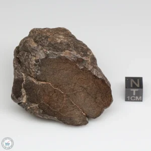 Al Haggounia 001 EL-melt Meteorite 171.4g Windowed Stone