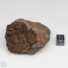 Al Haggounia 001 EL-melt Meteorite 144.2g Windowed Stone