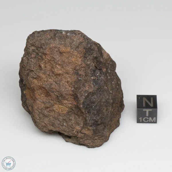 Al Haggounia 001 EL-melt Meteorite 144.2g Windowed Stone