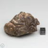 Al Haggounia 001 EL-melt Meteorite 179.6g Windowed Stone