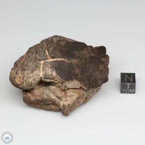 Al Haggounia 001 EL-melt Meteorite 179.6g Windowed Stone