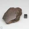 Al Haggounia 001 EL-melt Meteorite 199.6g Windowed Stone