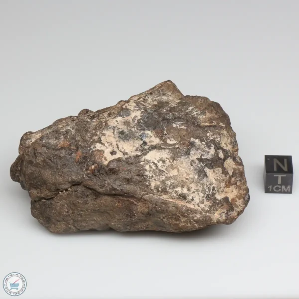 Al Haggounia 001 EL-melt Meteorite 234.8g Windowed Stone