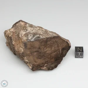 Al Haggounia 001 EL-melt Meteorite 234.8g Windowed Stone