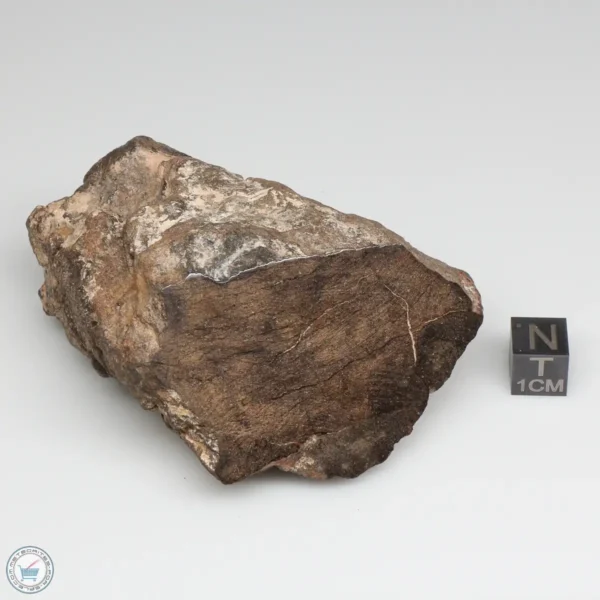 Al Haggounia 001 EL-melt Meteorite 234.8g Windowed Stone