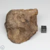 Al Haggounia 001 EL-melt Meteorite 204.2g Windowed Stone