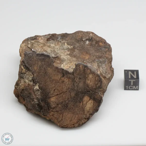 Al Haggounia 001 EL-melt Meteorite 204.2g Windowed Stone