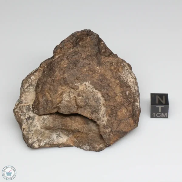 Al Haggounia 001 EL-melt Meteorite 224.7g Windowed Stone