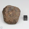 Al Haggounia 001 EL-melt Meteorite 109.2g Whole Stone