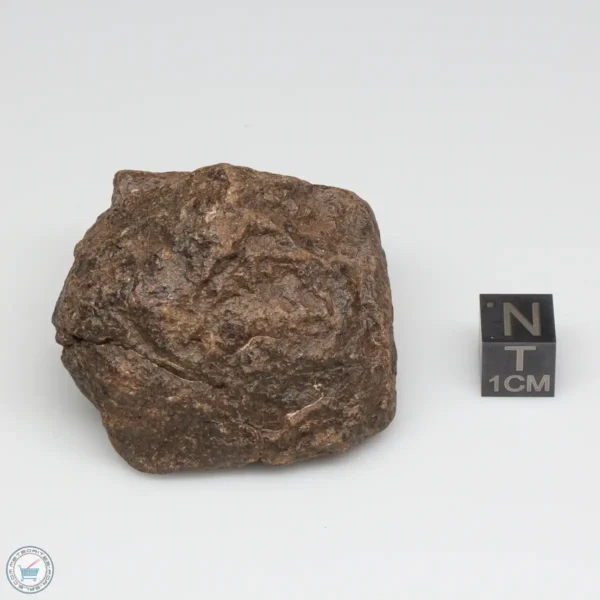 Al Haggounia 001 EL-melt Meteorite 109.2g Whole Stone