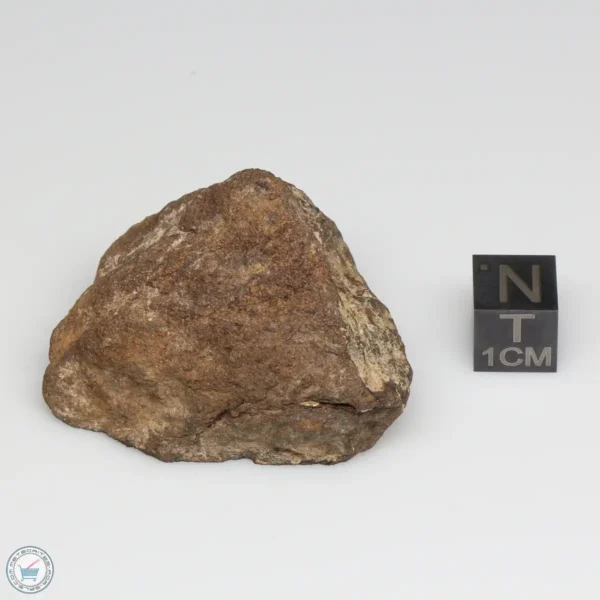 Al Haggounia 001 EL-melt Meteorite 48.8g Windowed Stone