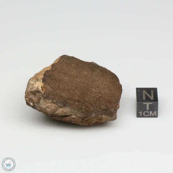 Al Haggounia 001 EL-melt Meteorite 48.8g Windowed Stone