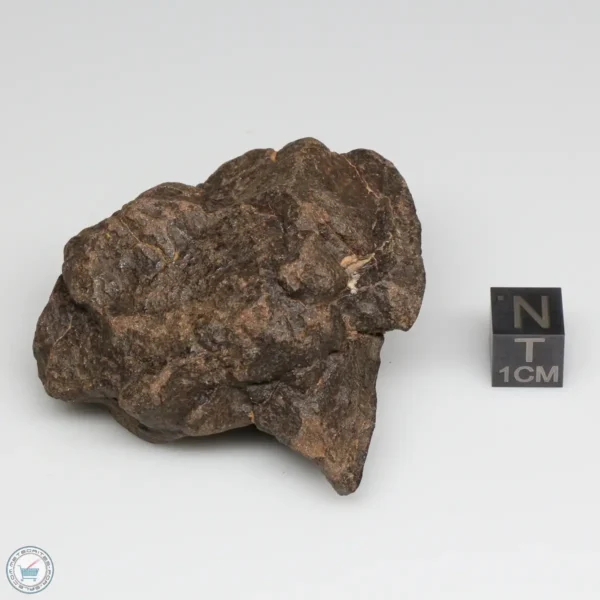 Al Haggounia 001 EL-melt Meteorite 92.5g Windowed Stone