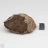 Al Haggounia 001 EL-melt Meteorite 100.9g Windowed Stone