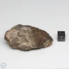 Al Haggounia 001 EL-melt Meteorite 100.9g Windowed Stone