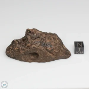 Al Haggounia 001 EL-melt Meteorite 100.6g Windowed Stone