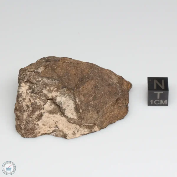 Al Haggounia 001 EL-melt Meteorite 82.7g Windowed Stone