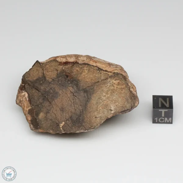 Al Haggounia 001 EL-melt Meteorite 82.7g Windowed Stone