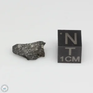 Allende Meteorite 0.58g Fragment