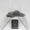 Allende Meteorite 1.99g End Cut