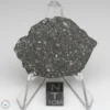 Allende Meteorite 8.02g