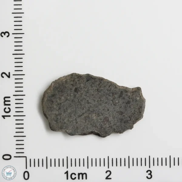 Amgala 001 Martian Meteorite 1.23g