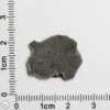 Amgala 001 Martian Meteorite 0.86g