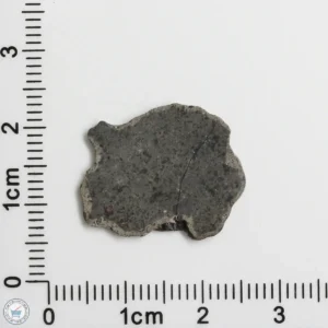 Amgala 001 Martian Meteorite 0.86g