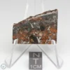 Brahin Pallasite Meteorite 11.3g