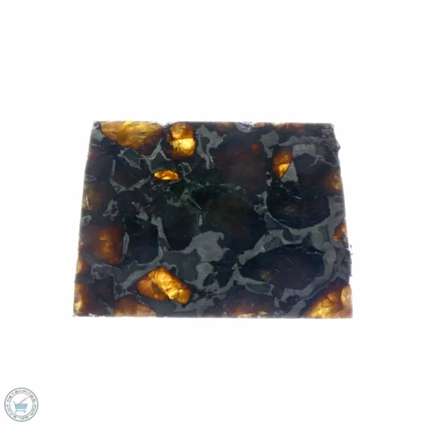 Brahin Pallasite Meteorite 9.4g