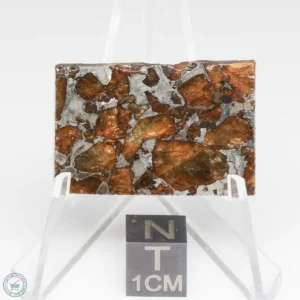 Brahin Pallasite Meteorite 14.1g