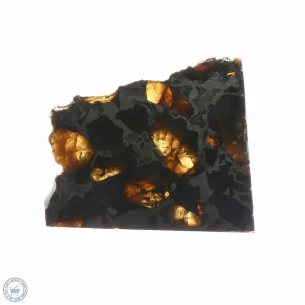 Brahin Pallasite Meteorite 9.0g