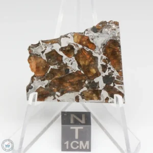 Brahin Pallasite Meteorite 9.0g