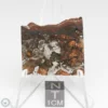 Brahin Pallasite Meteorite 8.5g