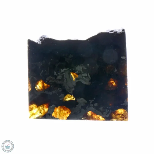 Brahin Pallasite Meteorite 8.5g