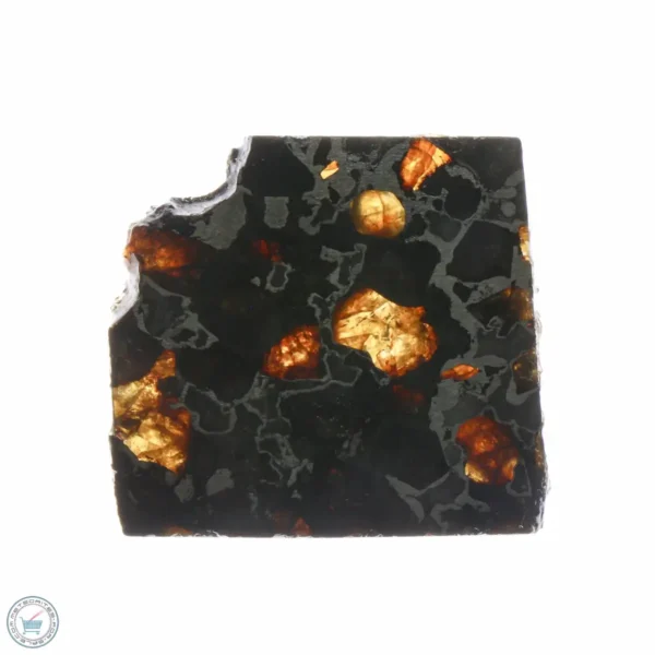 Brahin Pallasite Meteorite 10.8g