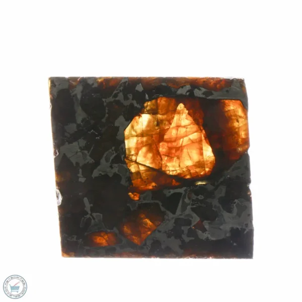 Brahin Pallasite Meteorite 13.5g